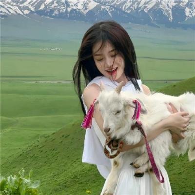 梅朵与月光