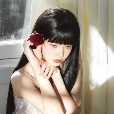 爱与梦飞翔